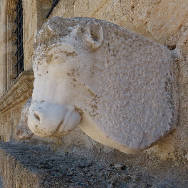 153.jpg