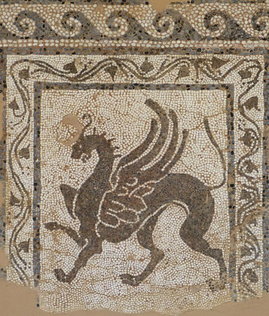 155.jpg