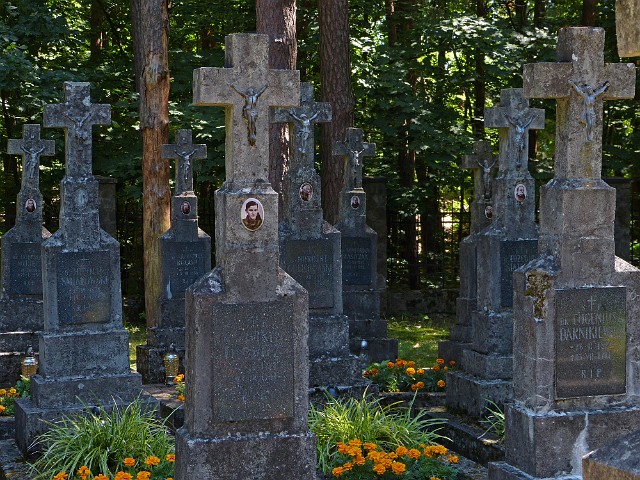 216.jpg