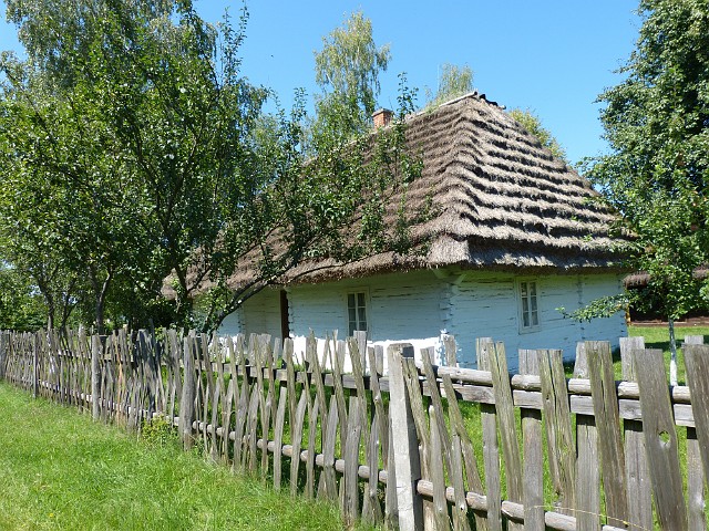 245.JPG
