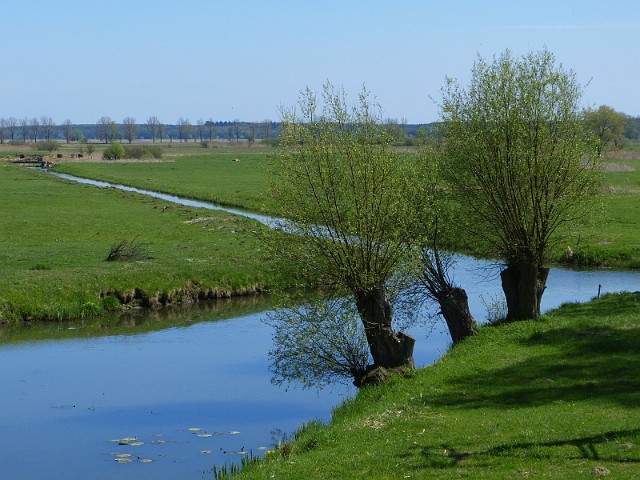 43.jpg