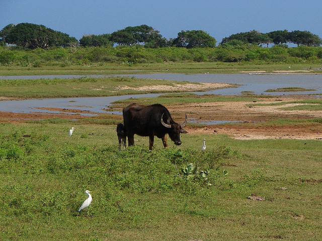 154.jpg