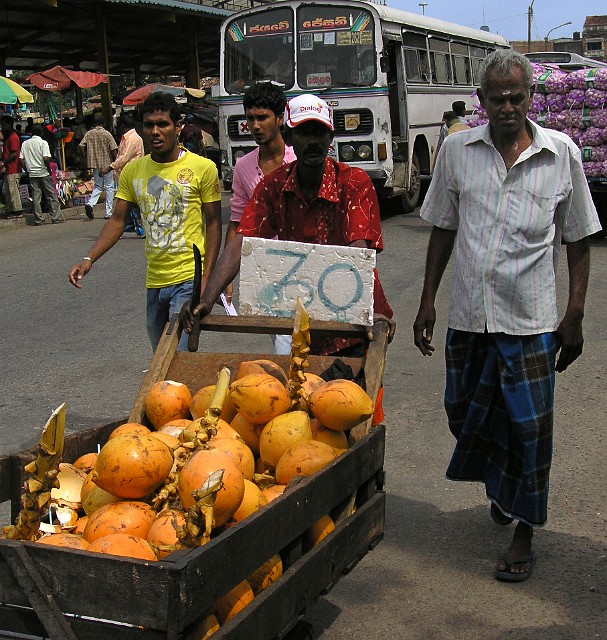 179.jpg