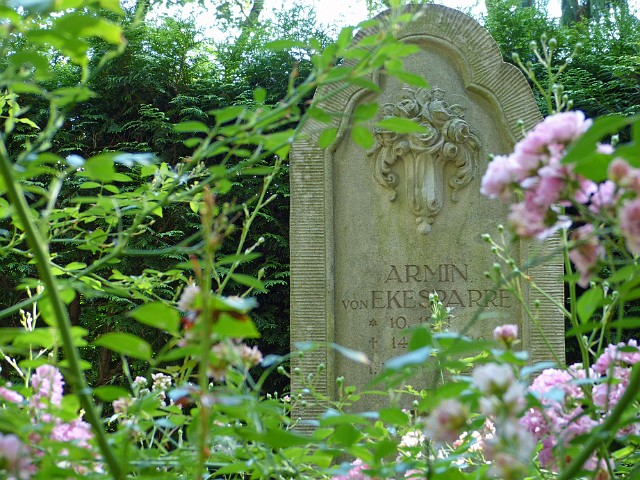 185.jpg