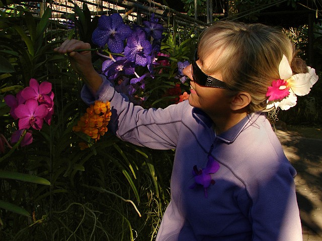 268.jpg - 268 W ogrodzie orchidei.