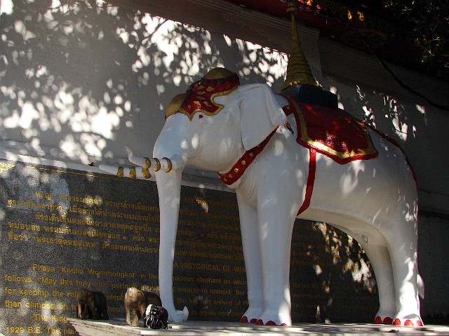 298.jpg - 298 Miejsce, w którym znajduje się świątynia Doi Suthep nie jest przypadkowe – wiąże się z nim pewna ciekawa legenda... Według opowieści, w góry znajdujące się poza murami miasta, wysłano niegdyś słonia z umocowanymi na szyi relikwiami Buddy. W pewnym momencie zwierzę zatrąbiło, okręciło się trzy razy i klęknęło w miejscu, które momentalnie stało się placem budowy nowej świątyni.