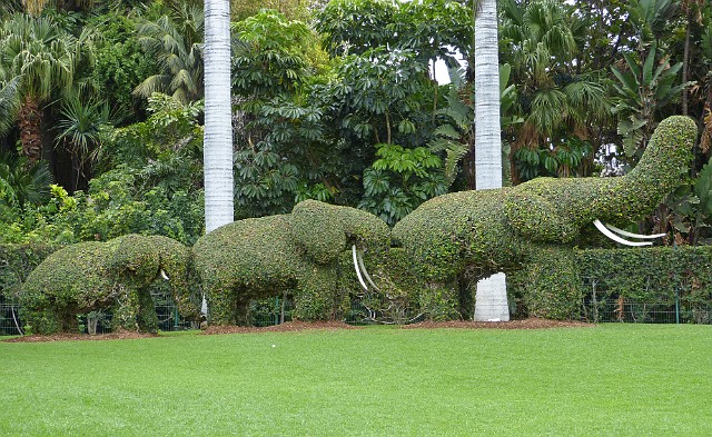 001 Loro Parque.jpg