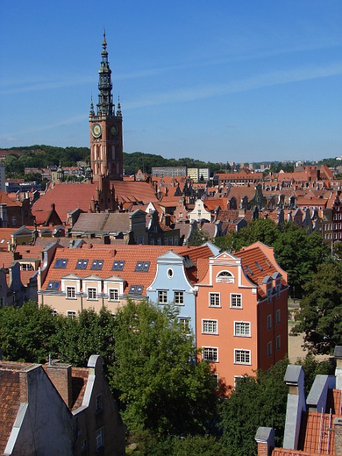 117.jpg
