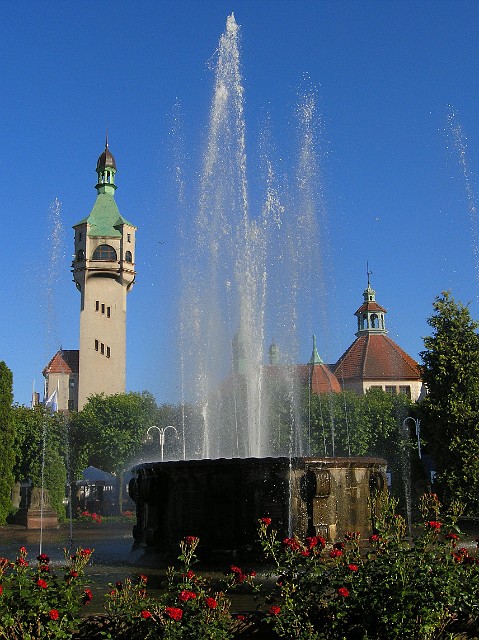 137.jpg