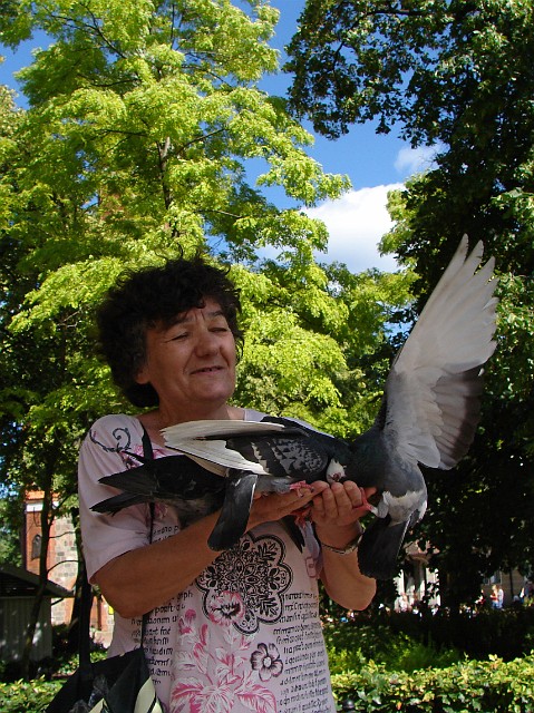 138 Opiekunka gołębi.jpg