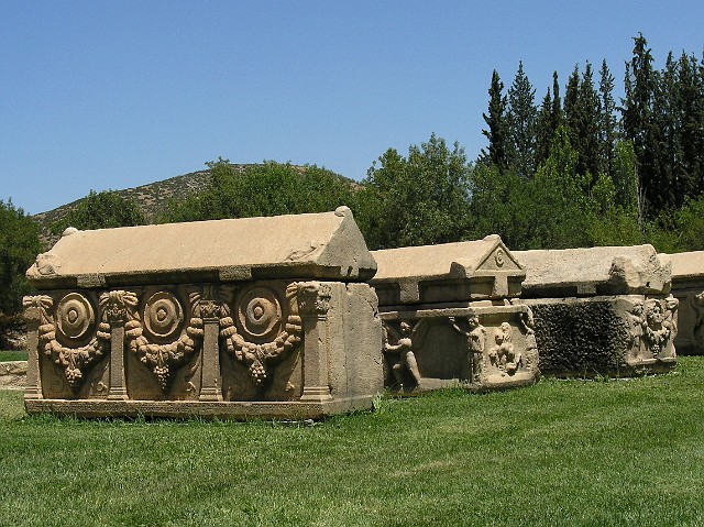 185.jpg