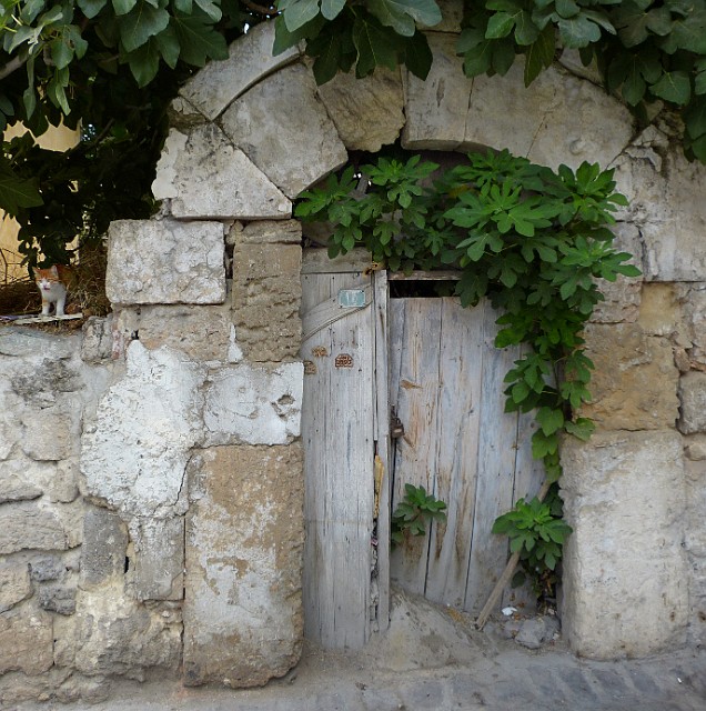 195.jpg