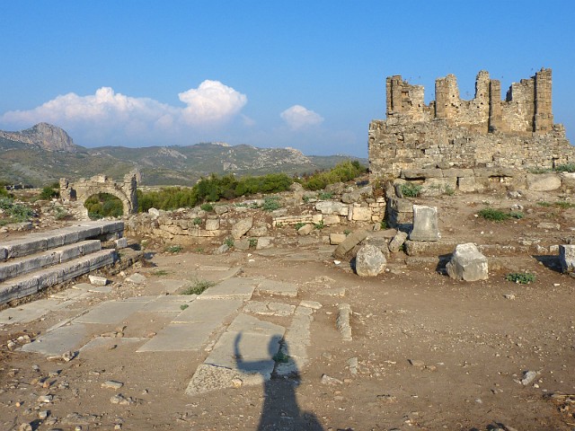 207.jpg