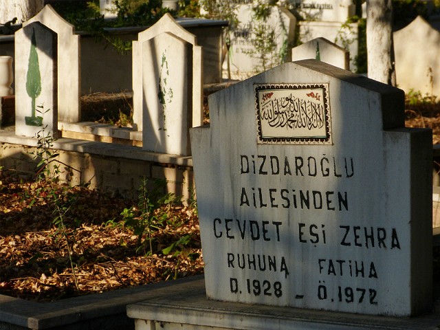 222.jpg