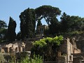 23 Forum Romanum