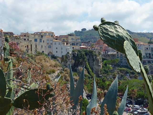 194.jpg