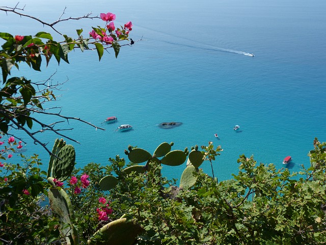 237 Capo Vaticano.jpg