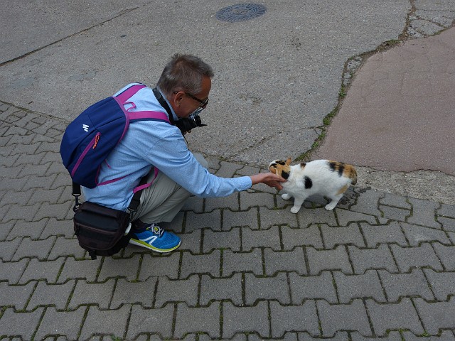 060.JPG