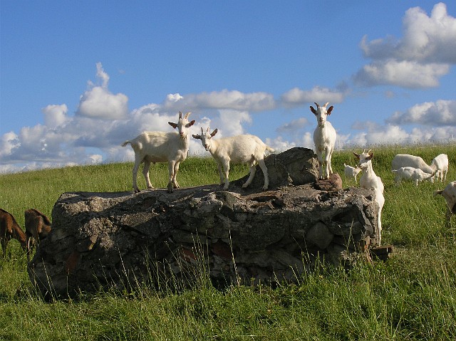 008 Kozia Górka.jpg