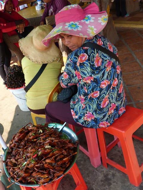 236.jpg