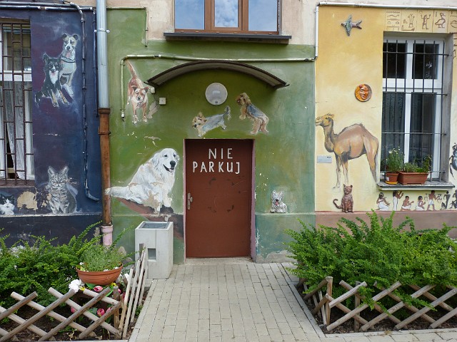 100.JPG