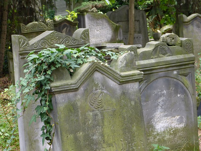 145.jpg