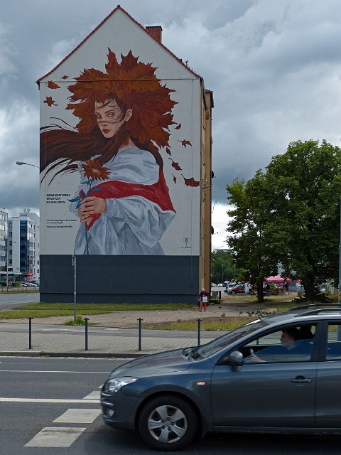 204.jpg