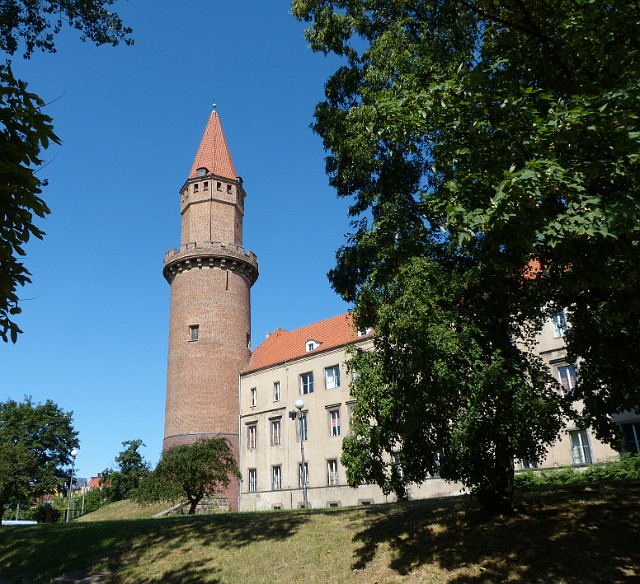 385.jpg