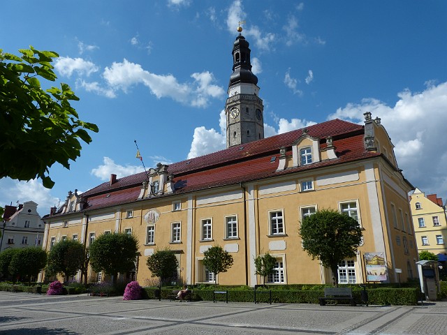 460.JPG