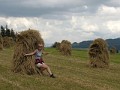 37 Tylko się wtulić w pachnące siano