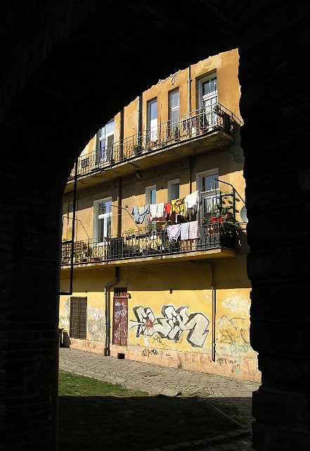 39.jpg