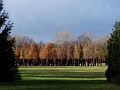 33 Rzeźba Magdaleny Abakanowicz Nierozpoznani