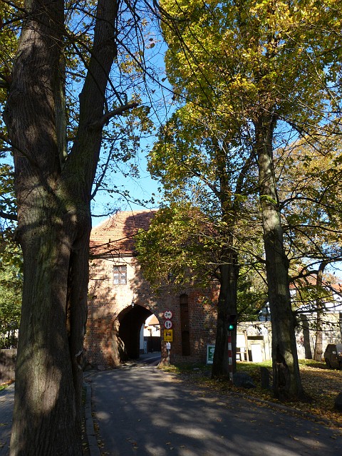 05.JPG