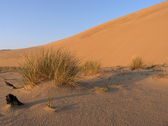 05.jpg