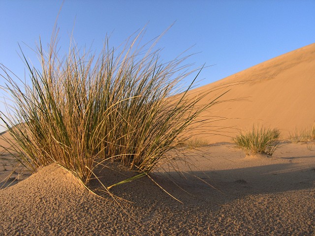 06.jpg
