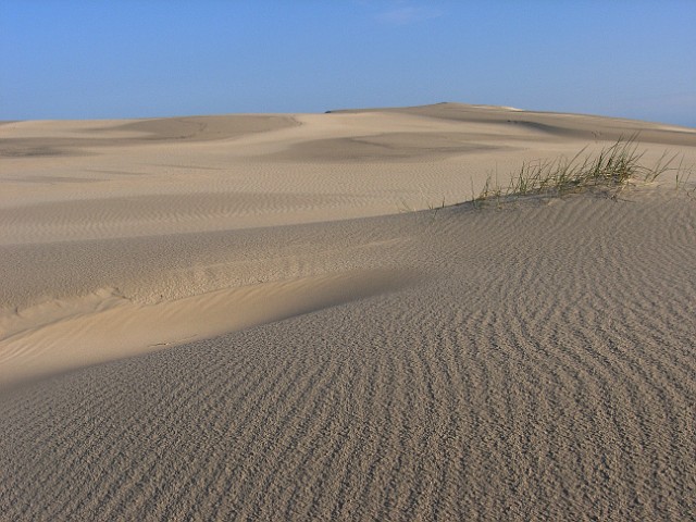 34.jpg