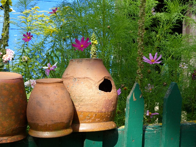 05.JPG