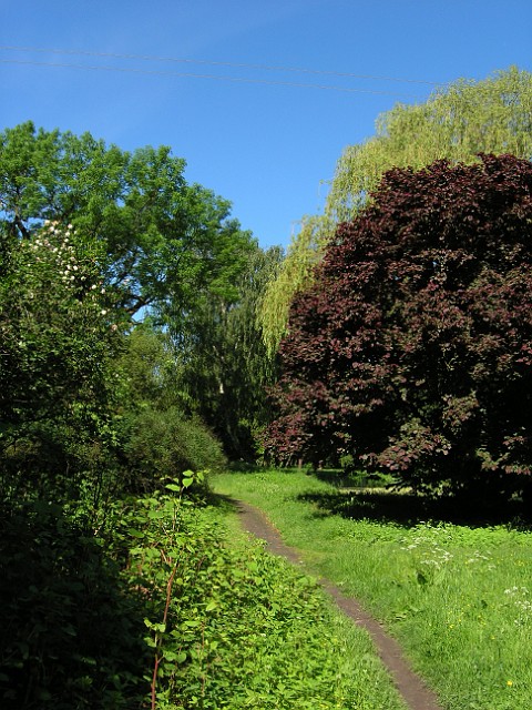 03.jpg