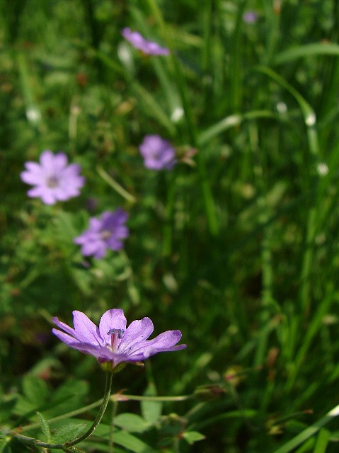 05.jpg