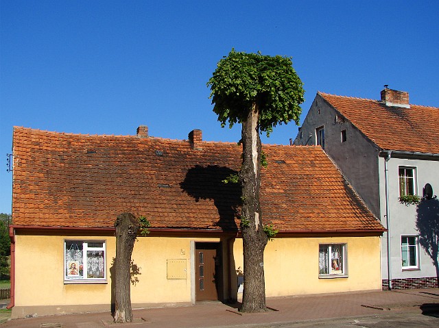 20.jpg