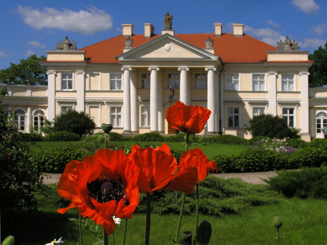 25.jpg