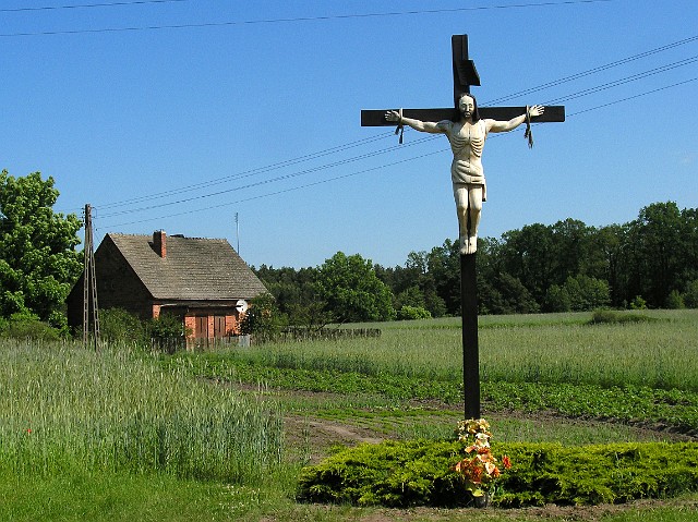 40 W Dębnie.jpg
