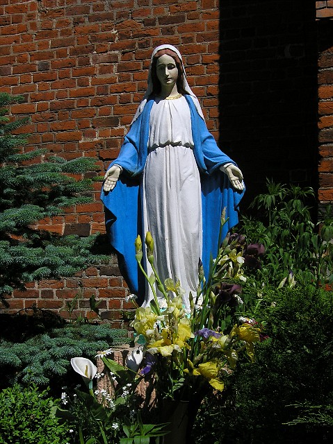 46.jpg