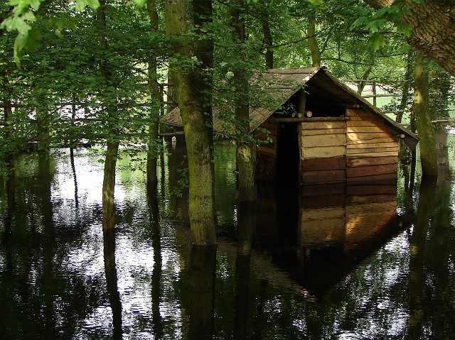 52.jpg - 52 Zalane Wartą okolice Hermanowa