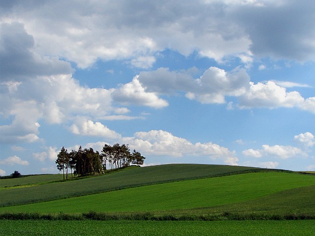 56.jpg
