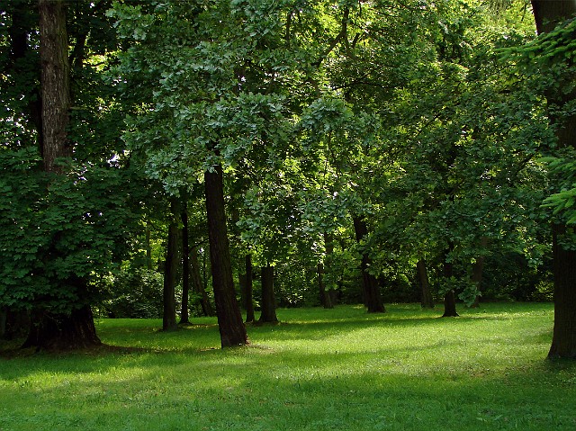63.jpg
