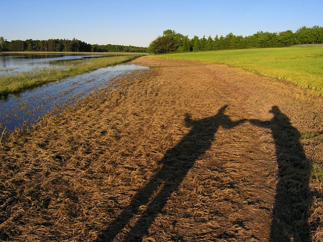 74.jpg