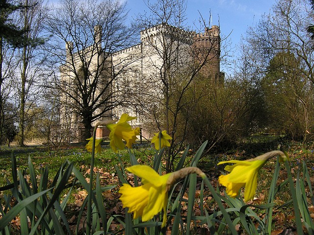 07.jpg