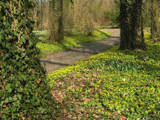 59.jpg