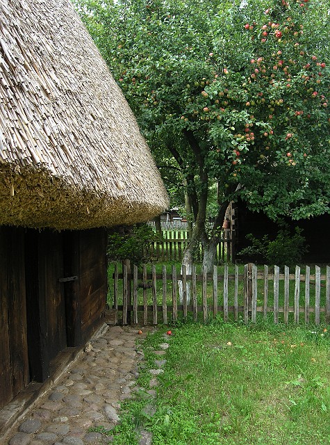 07.jpg
